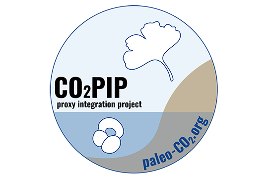 CO2 PIP