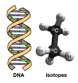 DNA and Isotopes